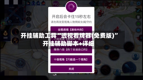 开挂辅助工具“透视看牌器(免费版)	”开挂辅助脚本+详细-第1张图片