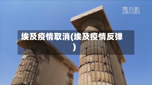 埃及疫情取消(埃及疫情反弹)