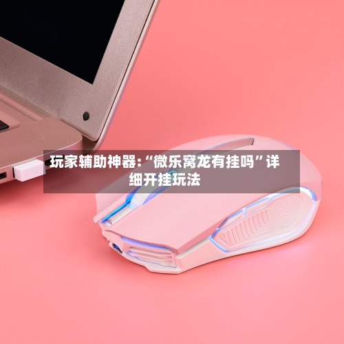 玩家辅助神器:“微乐窝龙有挂吗”详细开挂玩法-第1张图片