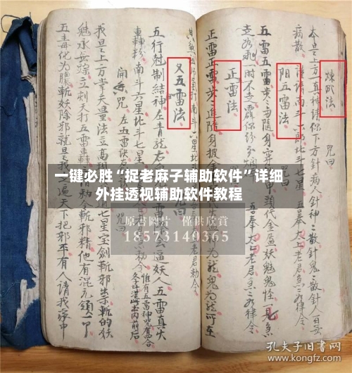 一键必胜“捉老麻子辅助软件”详细外挂透视辅助软件教程-第2张图片