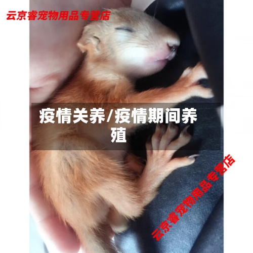 疫情关养/疫情期间养殖