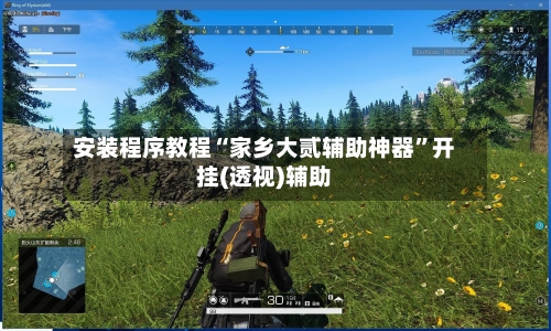 安装程序教程“家乡大贰辅助神器	”开挂(透视)辅助-第2张图片