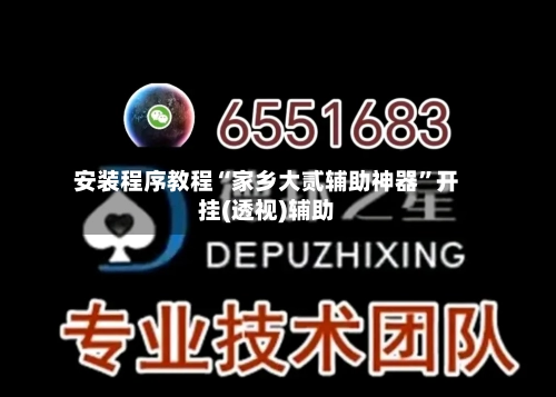 安装程序教程“家乡大贰辅助神器”开挂(透视)辅助-第1张图片