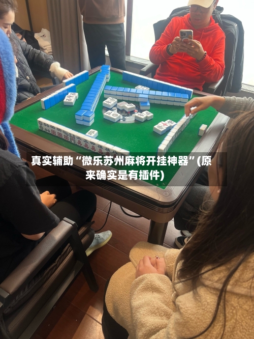 真实辅助“微乐苏州麻将开挂神器”(原来确实是有插件)-第2张图片