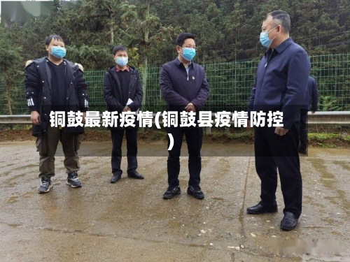 铜鼓最新疫情(铜鼓县疫情防控)-第3张图片