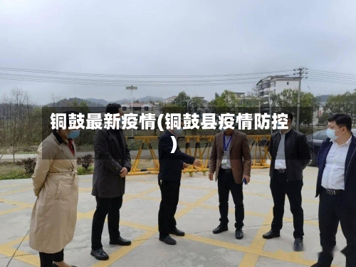 铜鼓最新疫情(铜鼓县疫情防控)-第2张图片