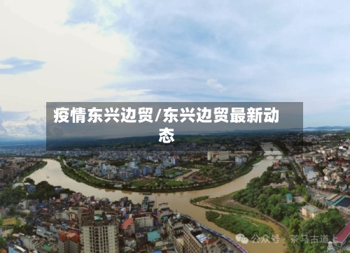 疫情东兴边贸/东兴边贸最新动态-第3张图片