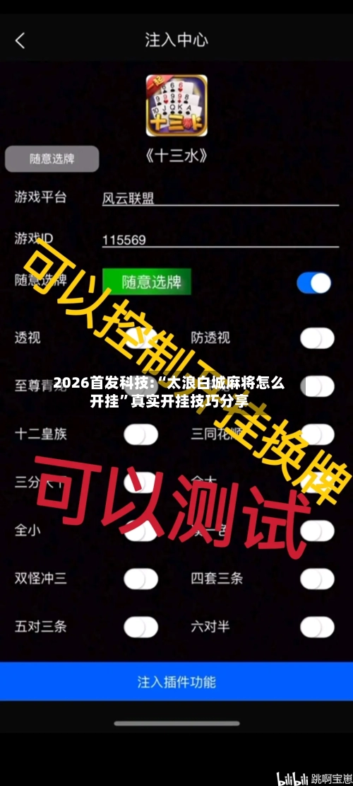 2026首发科技:“太浪白城麻将怎么开挂”真实开挂技巧分享-第2张图片