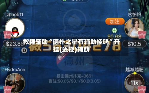 教程辅助“德扑之星有辅助挂吗”开挂(透视)辅助-第2张图片