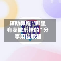 辅助教程“哪里有卖微乐挂的	”分享用挂教程-第2张图片