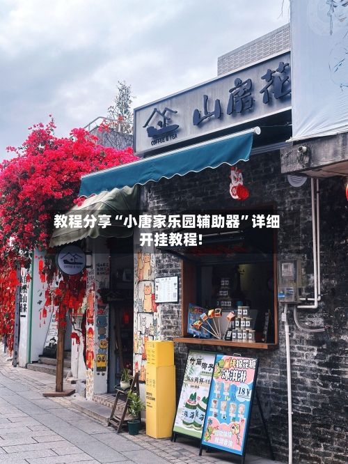 教程分享“小唐家乐园辅助器”详细开挂教程!