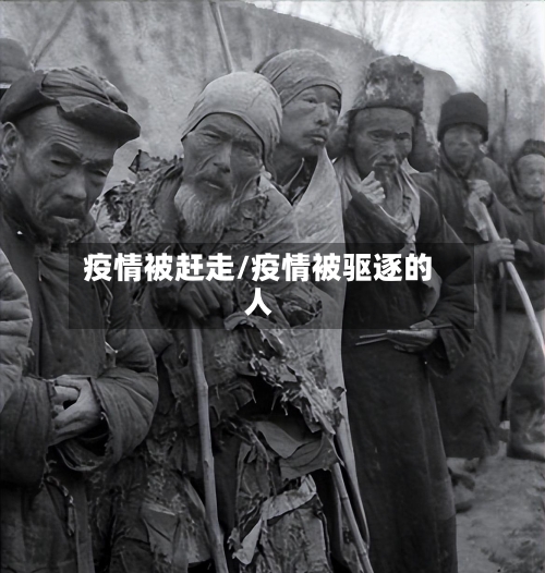 疫情被赶走/疫情被驱逐的人-第2张图片