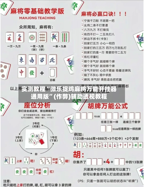 实测教程“微乐捉鸡麻将万能开挂器通用版”(作弊)辅助透视教程-第2张图片