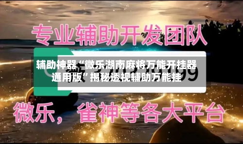 辅助神器“微乐湖南麻将万能开挂器通用版”揭秘透视辅助万能挂-第3张图片