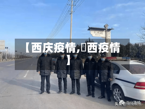 【西庆疫情,陜西疫情】-第2张图片