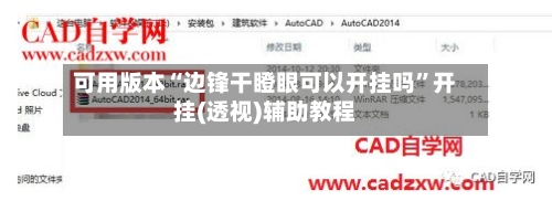 可用版本“边锋干瞪眼可以开挂吗	”开挂(透视)辅助教程-第1张图片