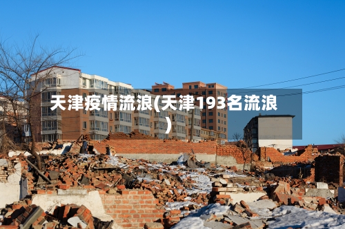天津疫情流浪(天津193名流浪)-第2张图片