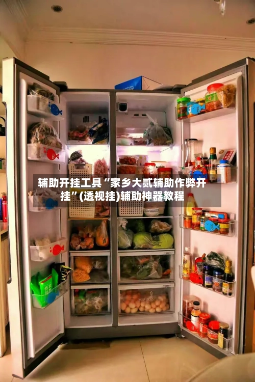 辅助开挂工具“家乡大贰辅助作弊开挂”(透视挂)辅助神器教程-第3张图片