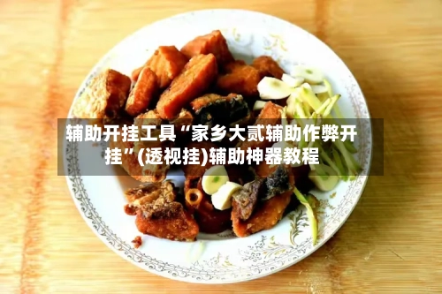 辅助开挂工具“家乡大贰辅助作弊开挂”(透视挂)辅助神器教程-第1张图片