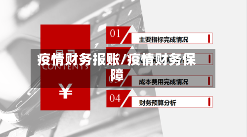 疫情财务报账/疫情财务保障-第1张图片