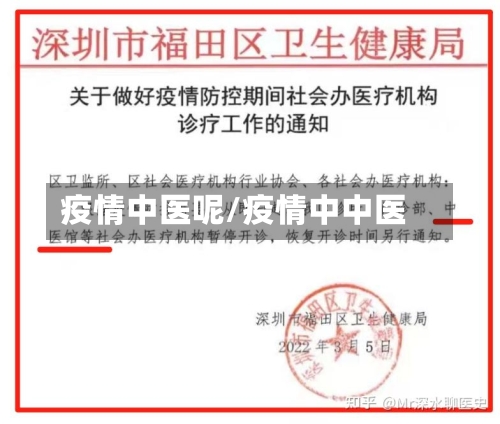 疫情中医呢/疫情中中医-第1张图片