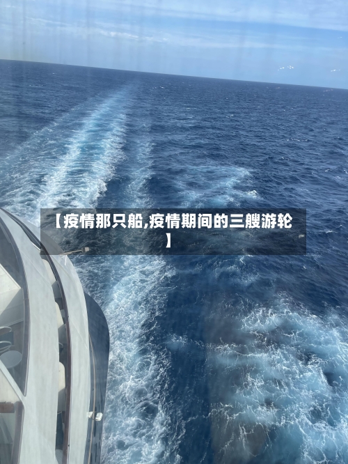 【疫情那只船,疫情期间的三艘游轮】-第2张图片