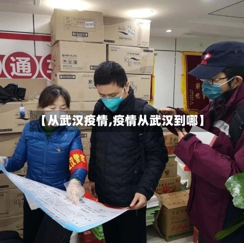 【从武汉疫情,疫情从武汉到哪】-第2张图片