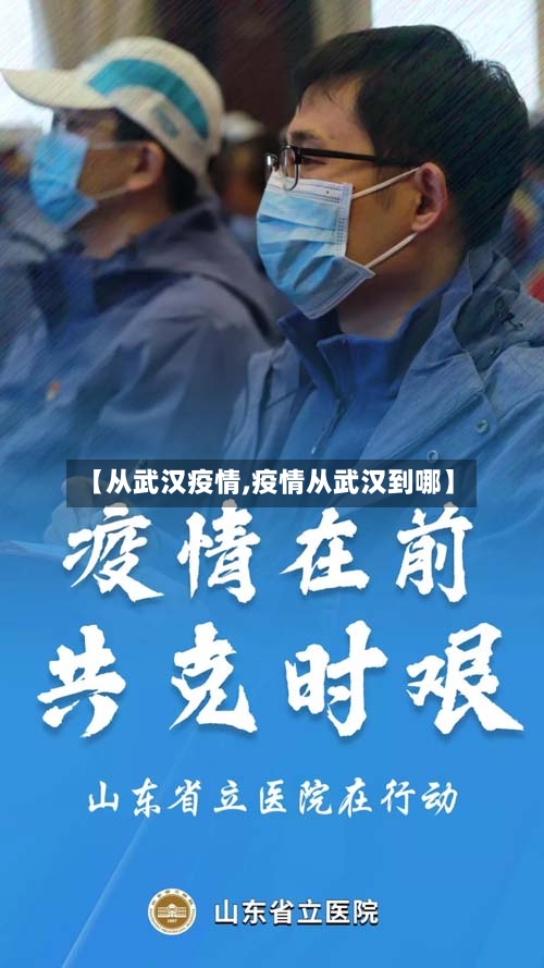 【从武汉疫情,疫情从武汉到哪】