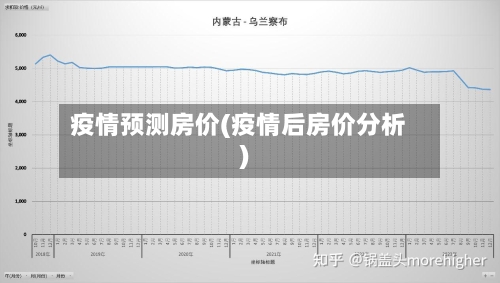 疫情预测房价(疫情后房价分析)