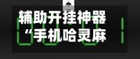 辅助开挂神器“手机哈灵麻将开挂神器下载安装”作弊(透视)透视辅助-第2张图片