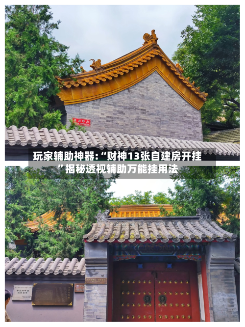 玩家辅助神器:“财神13张自建房开挂	”揭秘透视辅助万能挂用法-第2张图片