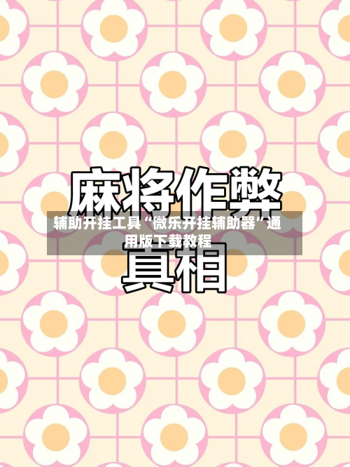 辅助开挂工具“微乐开挂辅助器	”通用版下载教程-第1张图片