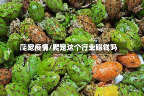 爬宠疫情/爬宠这个行业赚钱吗-第3张图片