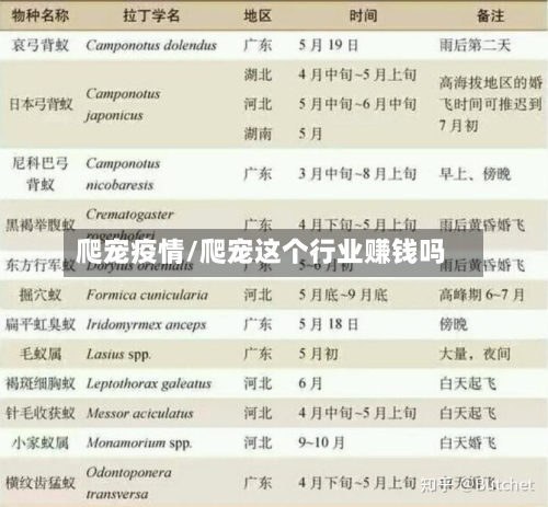 爬宠疫情/爬宠这个行业赚钱吗-第1张图片