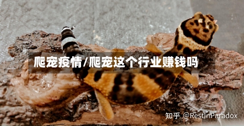 爬宠疫情/爬宠这个行业赚钱吗-第2张图片