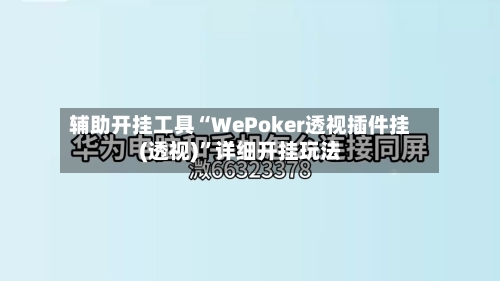 辅助开挂工具“WePoker透视插件挂(透视)”详细开挂玩法-第3张图片