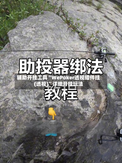 辅助开挂工具“WePoker透视插件挂(透视)	”详细开挂玩法-第2张图片
