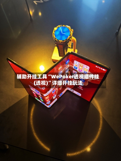 辅助开挂工具“WePoker透视插件挂(透视)”详细开挂玩法-第1张图片