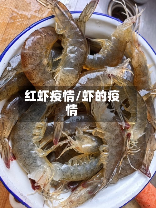 红虾疫情/虾的疫情-第2张图片