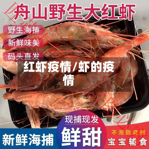 红虾疫情/虾的疫情-第1张图片