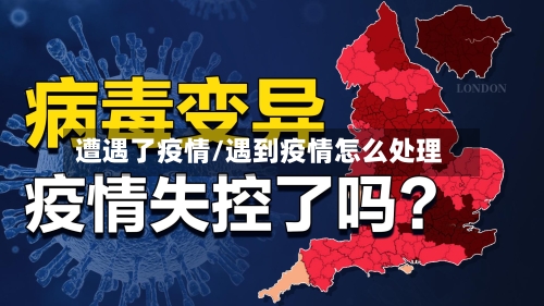 遭遇了疫情/遇到疫情怎么处理-第2张图片