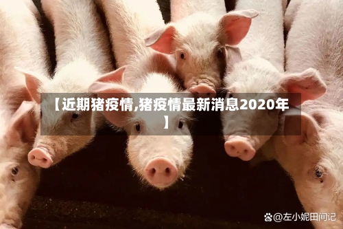 【近期猪疫情,猪疫情最新消息2020年】