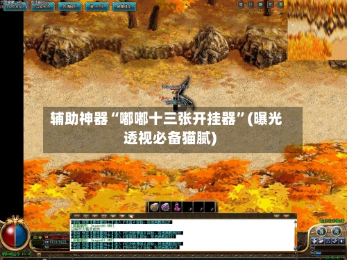 辅助神器“嘟嘟十三张开挂器”(曝光透视必备猫腻)-第1张图片