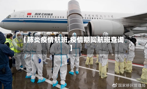 【肺炎疫情航班,疫情期间航班查询】