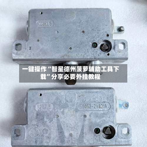 一键操作“智星德州菠萝辅助工具下载”分享必要外挂教程-第1张图片