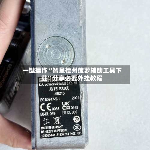 一键操作“智星德州菠萝辅助工具下载”分享必要外挂教程-第3张图片