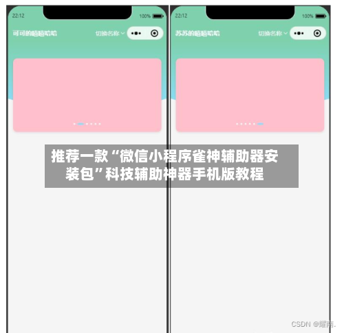 推荐一款“微信小程序雀神辅助器安装包”科技辅助神器手机版教程-第2张图片