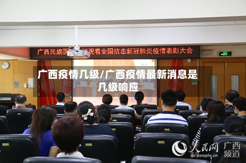 广西疫情几级/广西疫情最新消息是几级响应-第3张图片