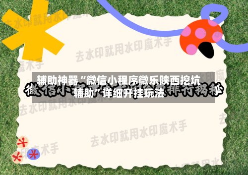 辅助神器“微信小程序微乐陕西挖坑辅助”详细开挂玩法-第3张图片