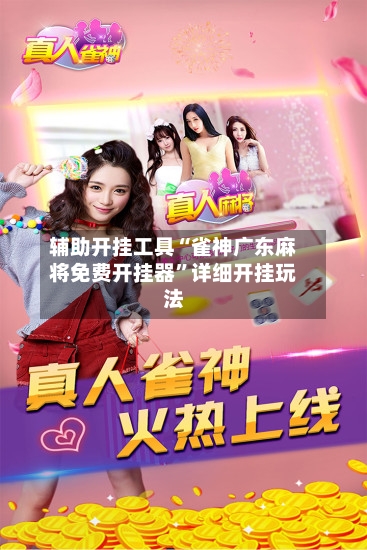 辅助开挂工具“雀神广东麻将免费开挂器”详细开挂玩法-第2张图片